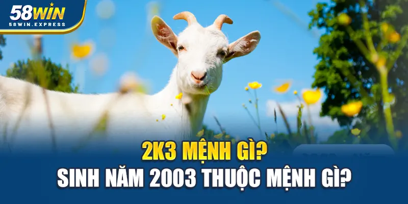 2k3-menh-gi-sinh-nam-2003-thuoc-menh-gi-