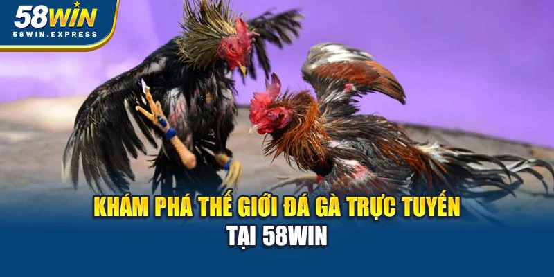 kham-pha-the-gioi-da-ga-truc-tuyen-tai-58win