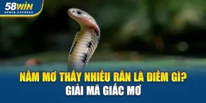 nam-mo-thay-nhieu-ran